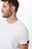CAMISETA BASIC C REFIL